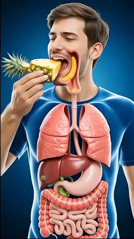 3D Human Body Anatomy | Amazing Human Body 3D Model#3DHumanBody #HumanAnatomy #3DAnimation #3DHumanBody #HumanAnatomy 