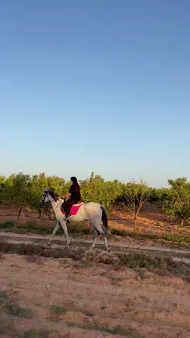 #خيل_وخياله🐎 #خيل_عربي #حصاني #خيال #girls #فرسان #فرسان_الخيل #فارس #فارس #feres #cejour #بنات #خيل_عربي_اصيل #sfax #chevalpassion #فرس #girls #club_feres #خيل #حصان #بنات_خيل_وخياله #eqitation #summer2020 