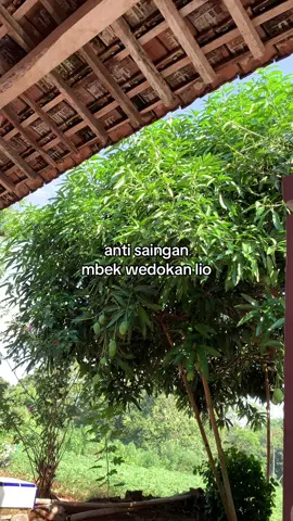 Cantulita mantuliti #promoseruweekend #fyppage #fyp #masukberandafyp #glowing 