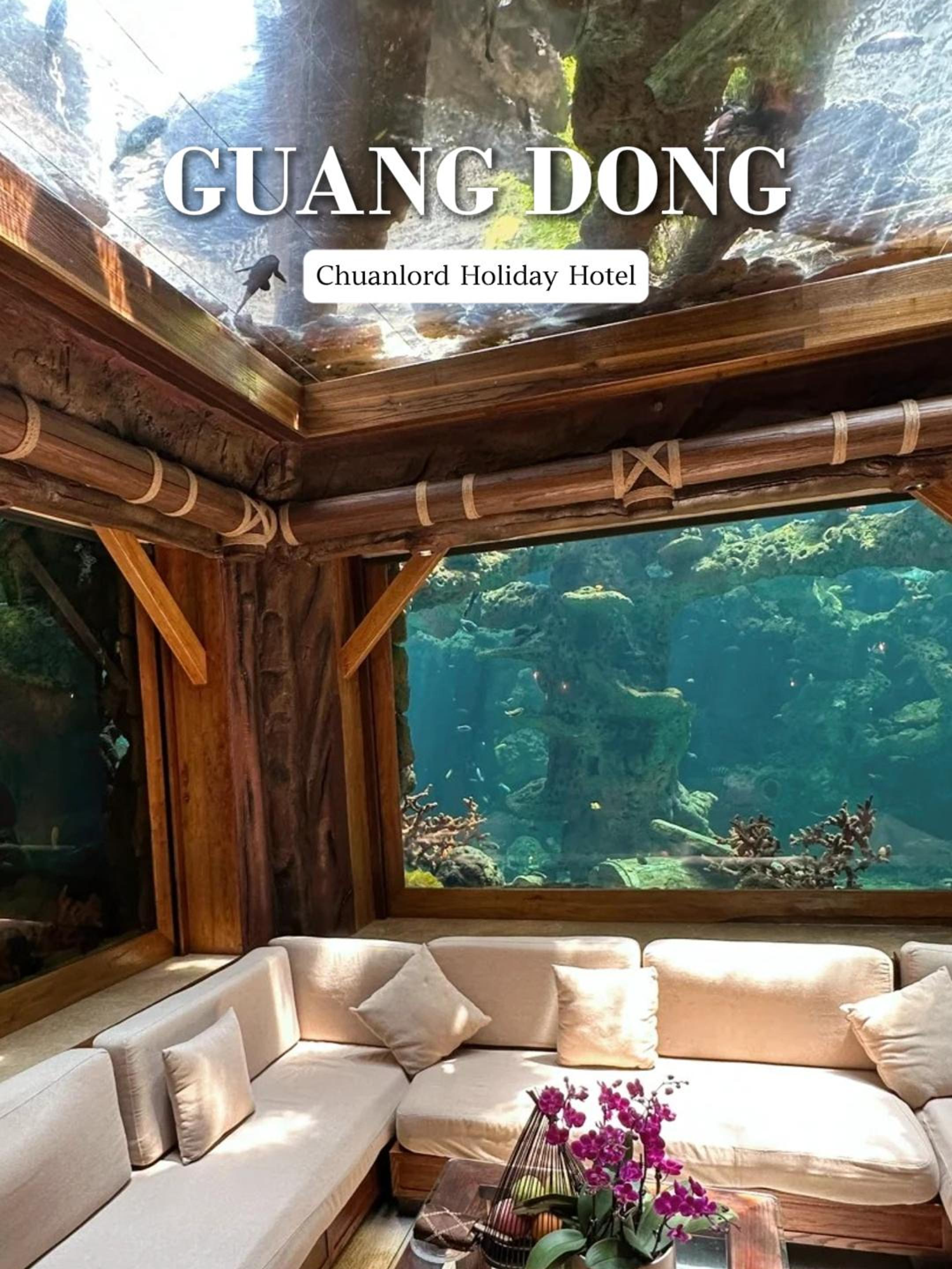 I stayed in an underwater world! Hotel name: Chuanlord Holiday Hotel (search on trip.com) Location: Guangdong, China Price: $80 per night Follow for more stunning homestays in China #chinabnb #homestay #travel #staycation #views #accommodation #naturetravel #honeymoon #hotel #luxury #summer #uniquehotel #fyp