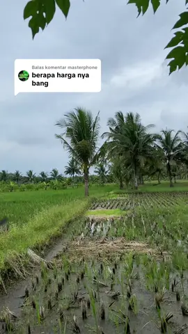 Membalas @masterphone 