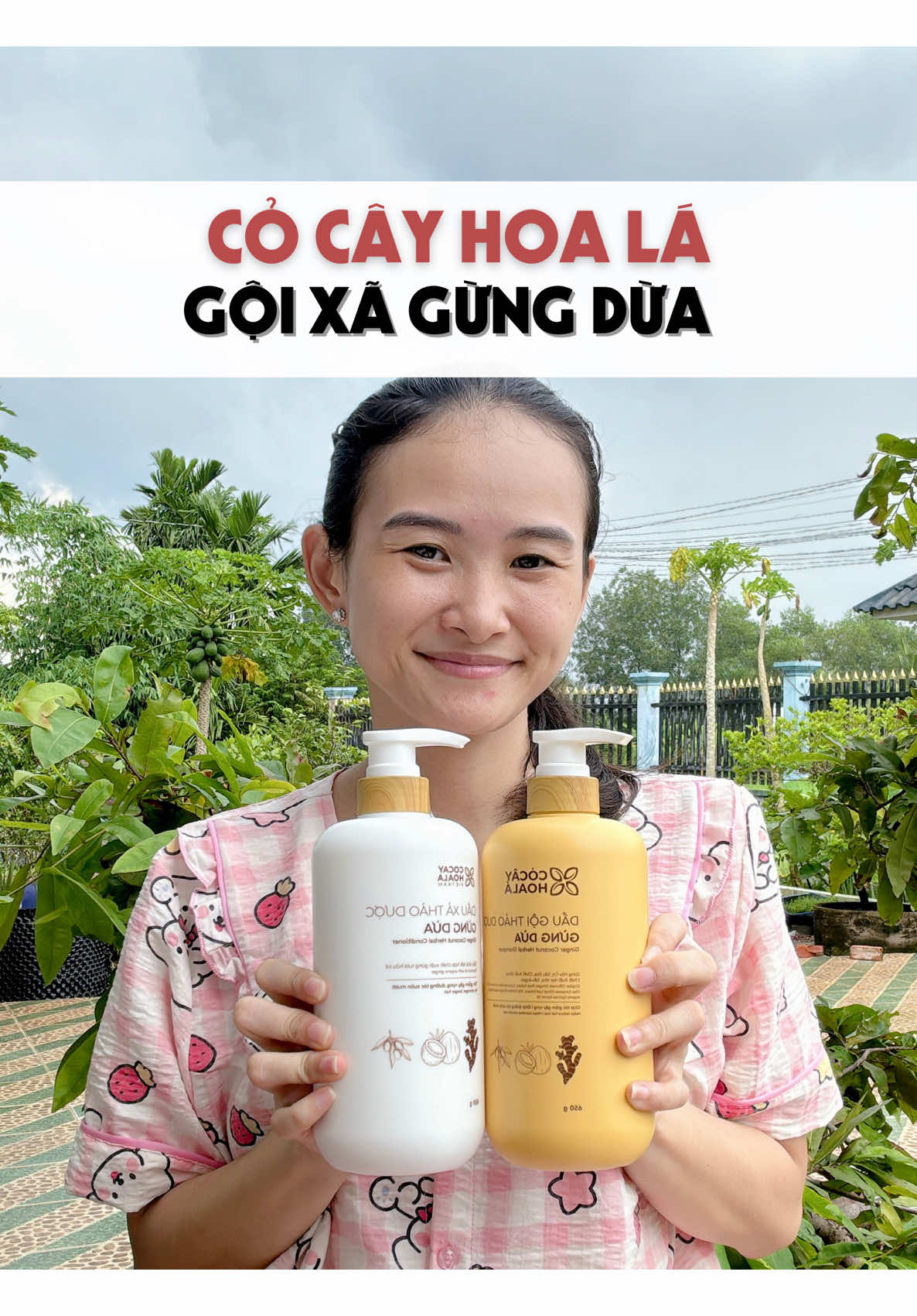 Gội xã cỏ cây hoa lá dầu gội thảo dược. #cocayhoala #daugoithaoduoc #daugoithaomoc #daugoirungtoc #meaiphuong 