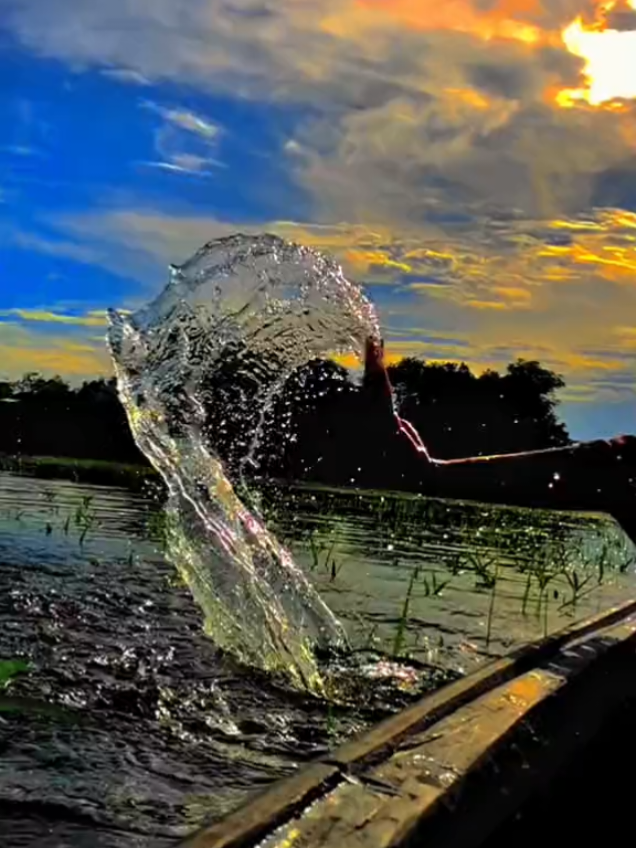 ভালোবাসা সুন্দর যদি মানুষটা সঠিক হয়,, 🥰❤️🥰