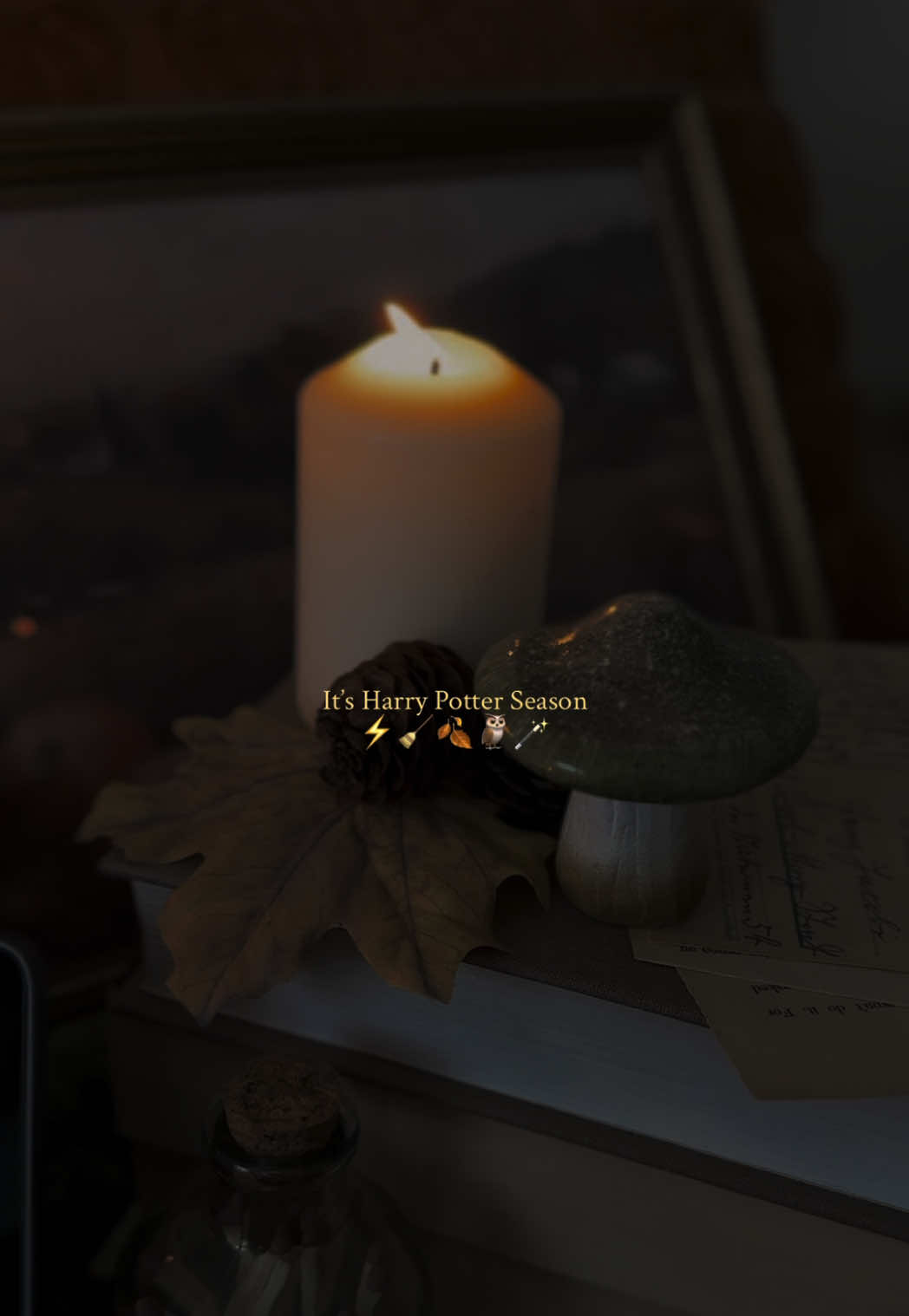 This is your sign to rewatch the HP movies this weekend 📽️⚡️🦉#fyp #hp #harrypotter #fallvibes🍂 #cozyvibes 