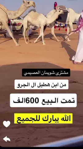 #مزاد_المدرج #الوضح #الوضح_المجاهيم_الصفر_الشعل #شويمان_قشعان_العصيمي #ابن_هطيل_الجروي #اكسبلور #الامير_الحاكم#الحاكم 