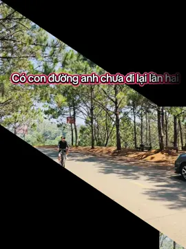 Hoa Mimosa là hoa gì nhỉ 😗 #AI #mimosa #coconduonganhchuadilailanhai #dalatconmuakhongem 