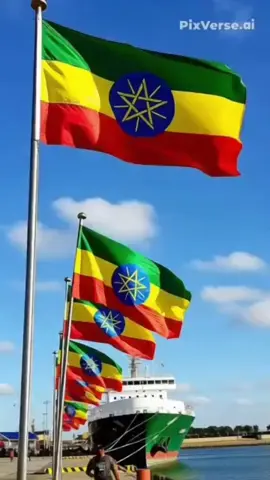 #creatorsearchinsights 