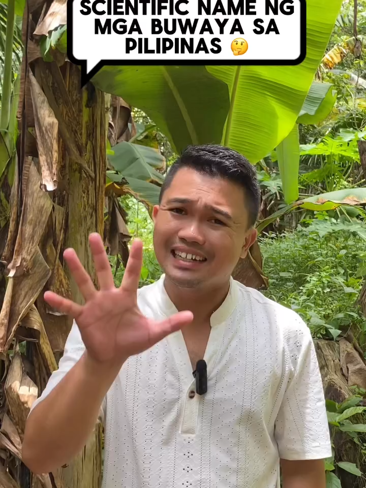 5 kinds of crocodile