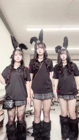 バニーガールした🖤#08 #おすすめにのりたい #運営さん大好き #文化祭 #jkブランド 