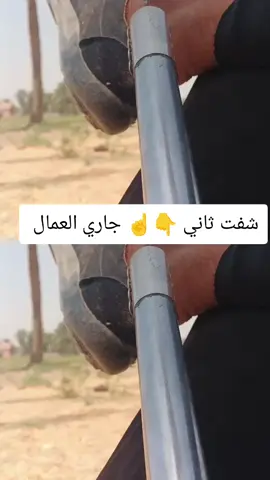 #نخيل @🤍علي المسعودي☑️ 