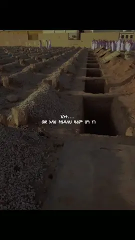 ምን መልስ አዘጋጅተሀል?...