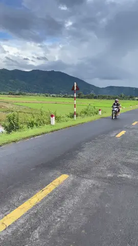 Con đường ngày nào cũng đi..