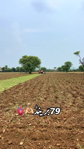 #79 #model #640 #پنڈاں_آلے #شوق 