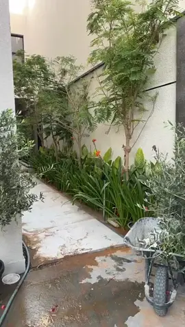 #النخيل #ديكور_عصري #الرياض #ديكورات_حديثة #تنسيق_حدائق 