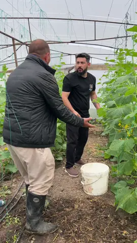 #xeyyamqehremanov #fypシ゚ 