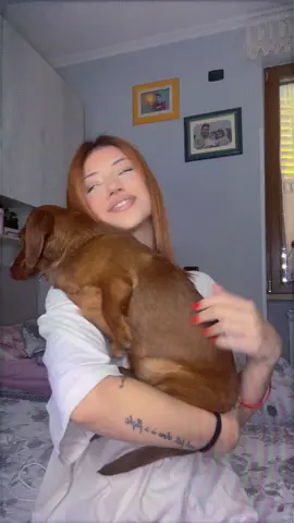 ma perché sei antipatico cosi’ Pongo? mamma ti amaaaa