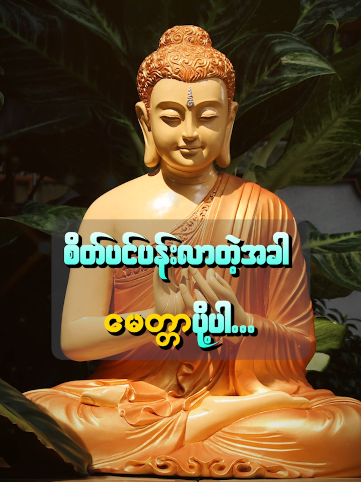 စိတ်ပင်ပန်းလာတဲ့အခါ မေတ္တာပို့ပါ...#Moti #History