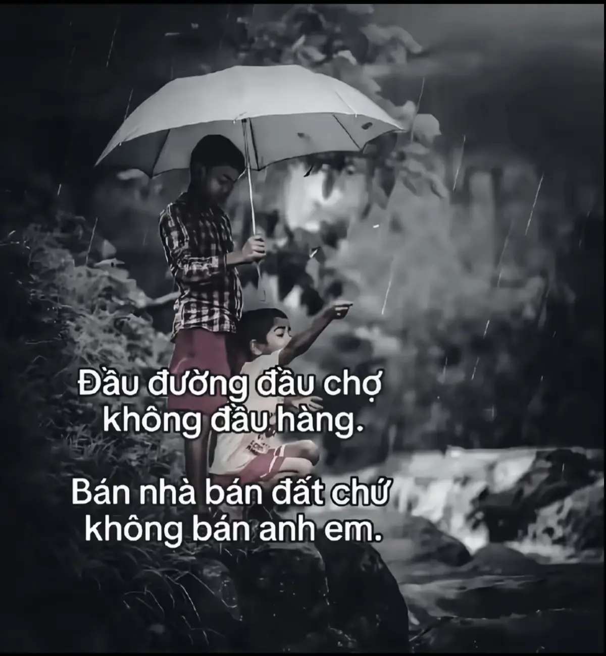 #tamttang #suhuongtiktok #anhemxahoi #anhemcaykhe 