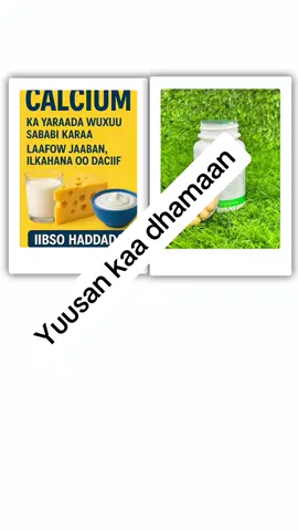 Faa’iidooyinka Calcium-ka 	1.	Xoojinta lafaha iyo ilkaha 	•	Calcium waa qaybta ugu weyn ee lafaha iyo ilkaha, wuxuuna ka hortagaa lafo-jileeca (osteoporosis) iyo ilkaha oo daciifa. 	2.	Shaqada murqaha 	•	Waxay ka caawisaa murqaha inay si caadi ah u shaqeeyaan, oo ay ku jiraan murqaha wadnaha. 	3.	Nidaaminta wadnaha iyo dhiigga 	•	Waxay gacan ka geysataa garaaca wadnaha inuu ahaado mid joogto ah. 	•	Waxay ka qeyb qaadataa dhiig xinjirowgiisa marka dhaawac dhaco si uu u joojiyo dhiig-baxa. 	4.	Nidaamka neerfaha 	•	Calcium wuxuu ka qeyb qaataa gudbinta farriimaha neerfaha (nerve impulses) si maskaxdu ugu xirmaan jirka intiisa kale. 	5.	Hormoonnada iyo enzymes-ka 	•	Waxay ka qeyb qaadataa sii-deynta hormoonnada iyo enzymes-ka muhiimka u ah dheefshiidka iyo shaqooyinka kale ee jirka. #somalitiktok #fyp #foryoupage @Maandeeq Aanood @wll sadaat @!!!GENERAL XOGSADE❣💯✌🗣_♤♧_♧_ 