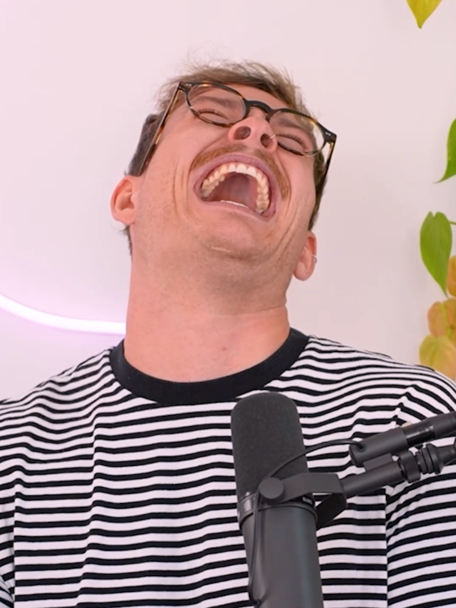Wie findet ihr Joeys neue Kategorie? 😂 #dienervigen #dienervigenpodcast #juliabeautx #joeysjungle #podcasts