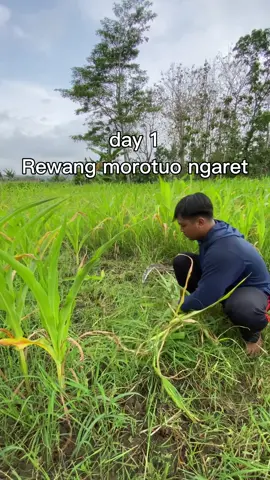 Day 1 ngret🤣#fypage #fyp #sobatngaret #sabilfarm #blitar24jam 