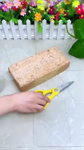 #fyp #foryou #tiktokmalaysia #household#LifeHack#doublesidedtape#traceless#washable#practical 