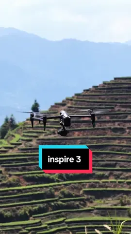 Liệu Mấy Ai Đủ Cam Đảm Để Đứa Trẻ Cầm Lái Inspire 3 #xuhuong #fyp #varal #flycam #thanhdrone✈️ 