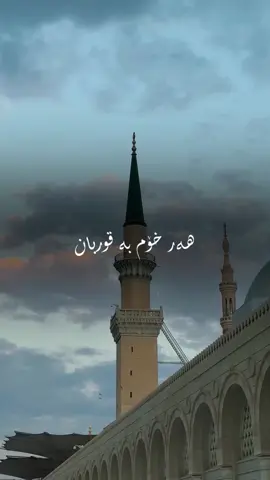مەدینە خۆشە بەهەشتی خوایە🤍🥺#run4ky #makkahmadinah🕋 
