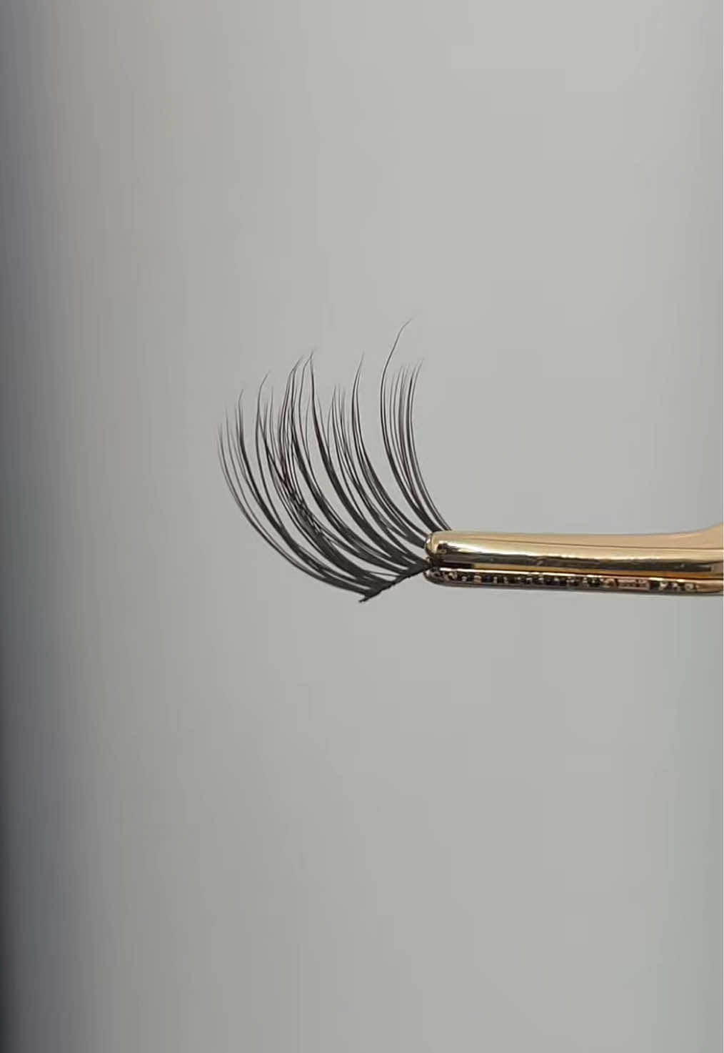 🍂 Classy One Brown — your must-have autumn lash. ✨ Perfect for cozy nights in, pumpkin picking, or fall nights out. 🍁 Loved by many — your new seasonal fave. Grab yours today!  #ilashuk #clearancesale #fyp #foryoupage #creatorsearchinsights 