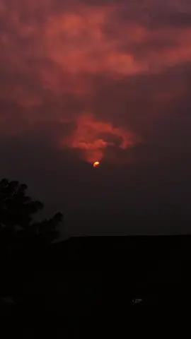 إذا بينه  بـخت  ترجع تحن لينه  وأذا مابينه چا نستاهل الـ بينه  #يمكن #،، #xblor 