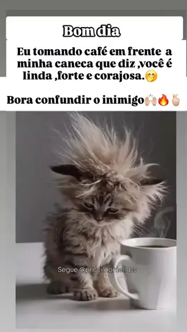 #rir #engracados #humor #memestiktok😂😂 #bomdia 