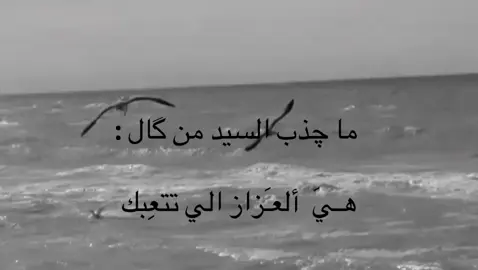 #فاقد_الموسوي #العزاز #تتعبك #فاقد_الموسوي_لامثيل_له #الامام_الحسين_عليه_سلام 