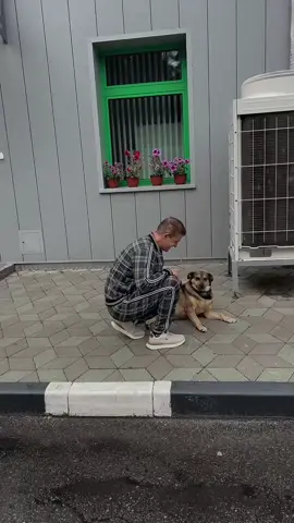 Жужатерапия) #2025 #беларусь #минск #жужа 