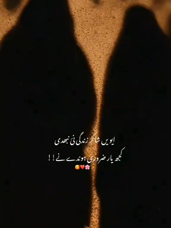 ایویں شاکر زندگی نئ نبھدی کجھ یار ضروری ہوندے نے!!🥹 #foryou #tiktokviral #fyppppppppppppppppppppppp @𝑭𝑨𝑻𝑰𝑴𝑨♡︎ 