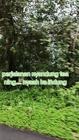 #jabaristimewa #urangsunda #fypage #grow #sound 