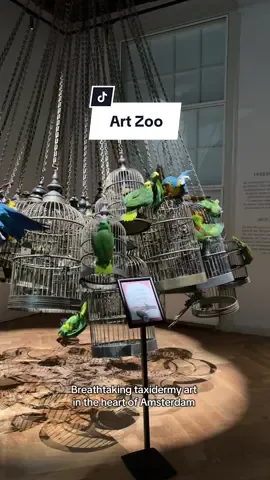Art? Zoo? Both? Exactly. 🐯🪿 Visit @artzoomuseum to see where nature, art and curiosity collide. #amsterdam #museum #hiddengem #thingstodoinamsterdam #taxidermy 