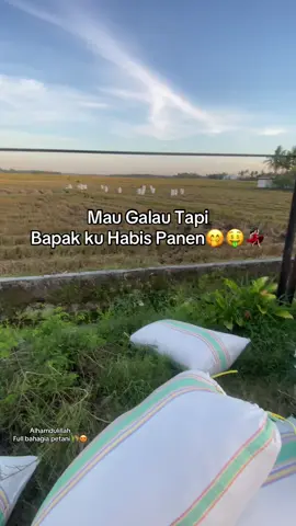 😍🔥🫰🏻#fypage #petanimuda #masukberandafyp 