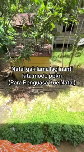 ##parapenguasa kue natal