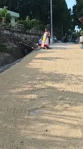 semua sekarang serba mesin.. #mesin #viral #bungkus #padi 