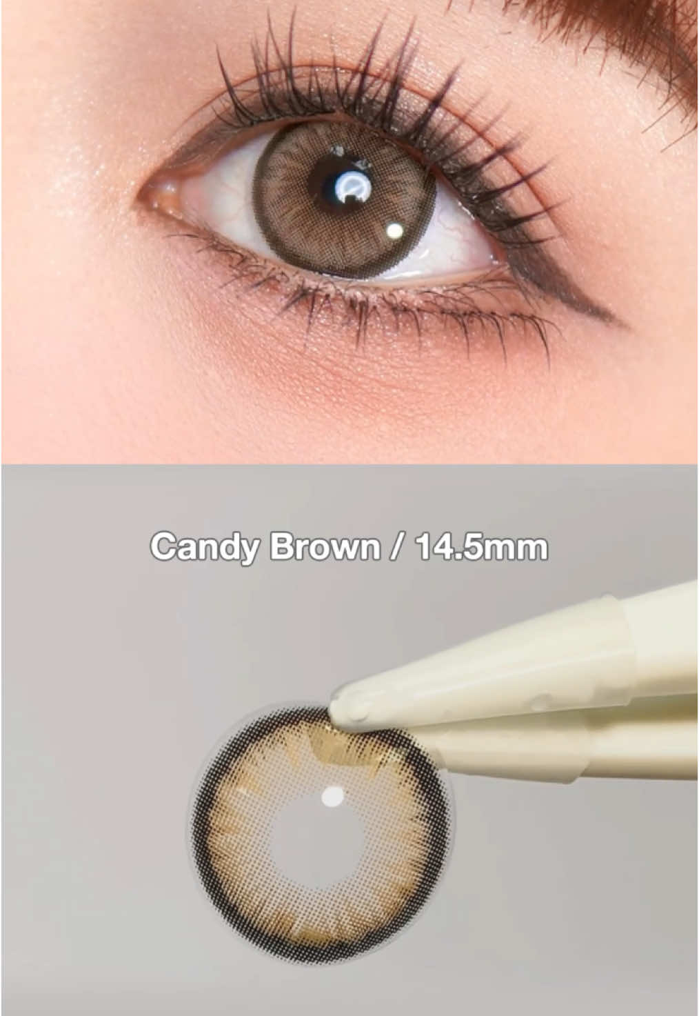 Setelah Anda memakai lensa kontak ini, Anda akan menjadi manis dan lembut~😍🤩🥰 #magister #softlens #fyp #bigeyes #candy #gentle #brown #hotsellingitem🔥🔥 