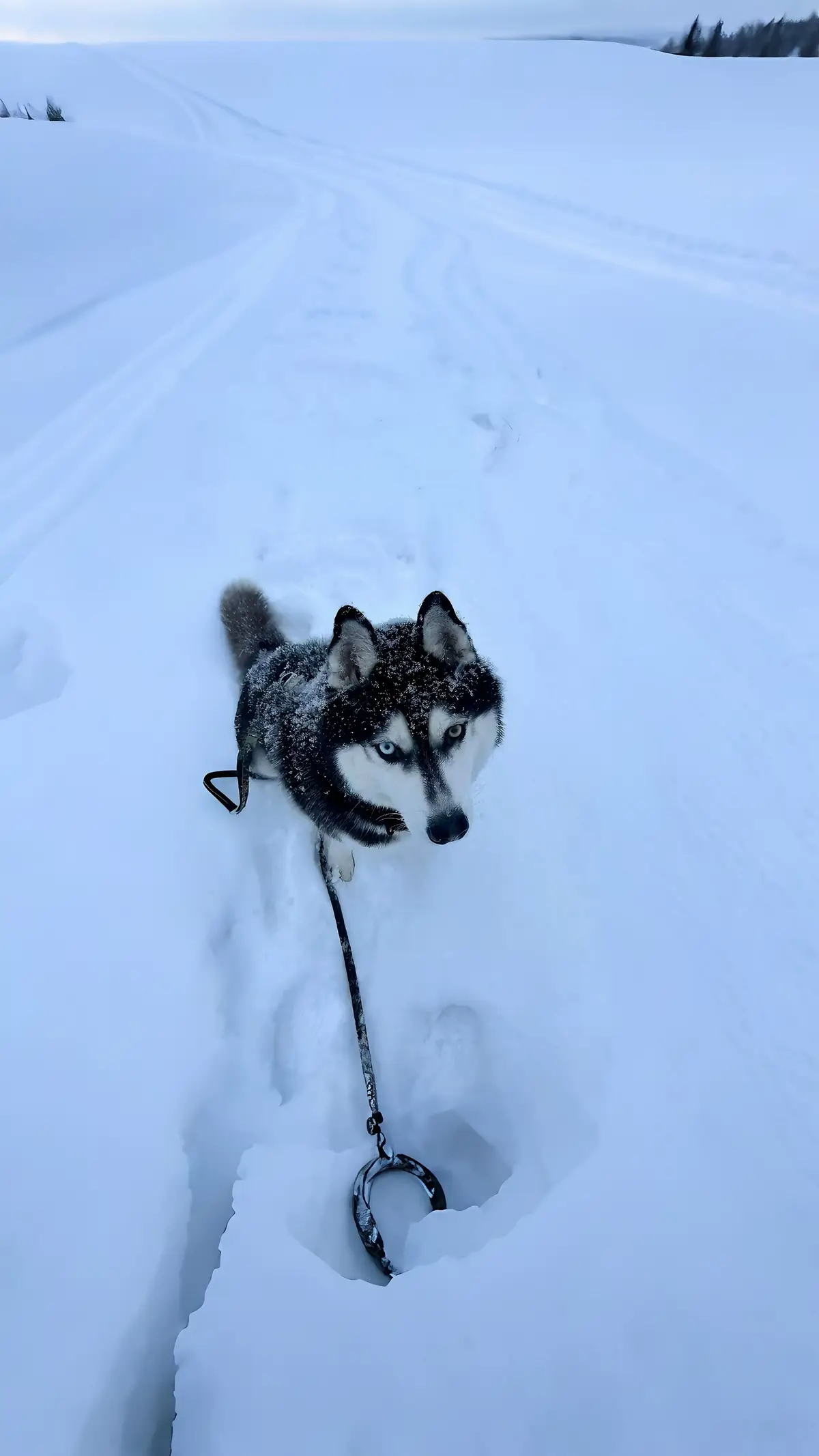 Which pic do you like the most?