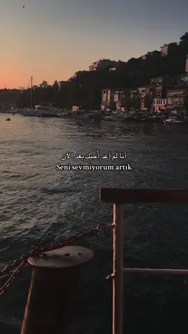 Seni sevmiyorum artık
