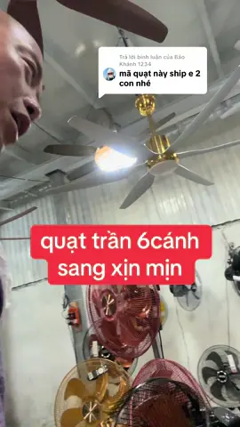 Trả lời @Bảo Khánh 1234 sang xịn mịn #vuaquat 