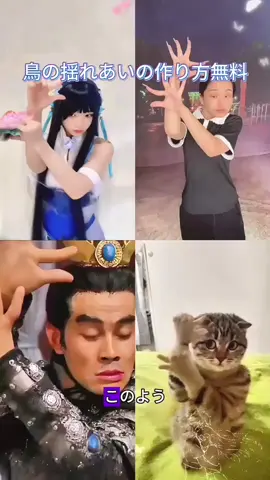 皆に鳥振りを習わせる#capcut #capcutforus #capcutpioneer #dance #cat ダンス、鳥、鳥、ジェスチャー、ジェスチャーダンス、ダンス、ai、人工知能、猫、動物、無料レッスン、無料です 댄스, 새, 새, 제스처, 제스처 댄스, 댄스, ai, 인공지능, 고양이, 동물, 무료 강좌, 무료 Dance, little bird, bird, gesture, gesture dance, dance, ai, artificial intelligence, cat, animal, free tutorial, free 跳舞吧，小鳥，鳥兒，手勢，手勢舞蹈，舞蹈，人工智慧，貓，動物，免費教學，免費