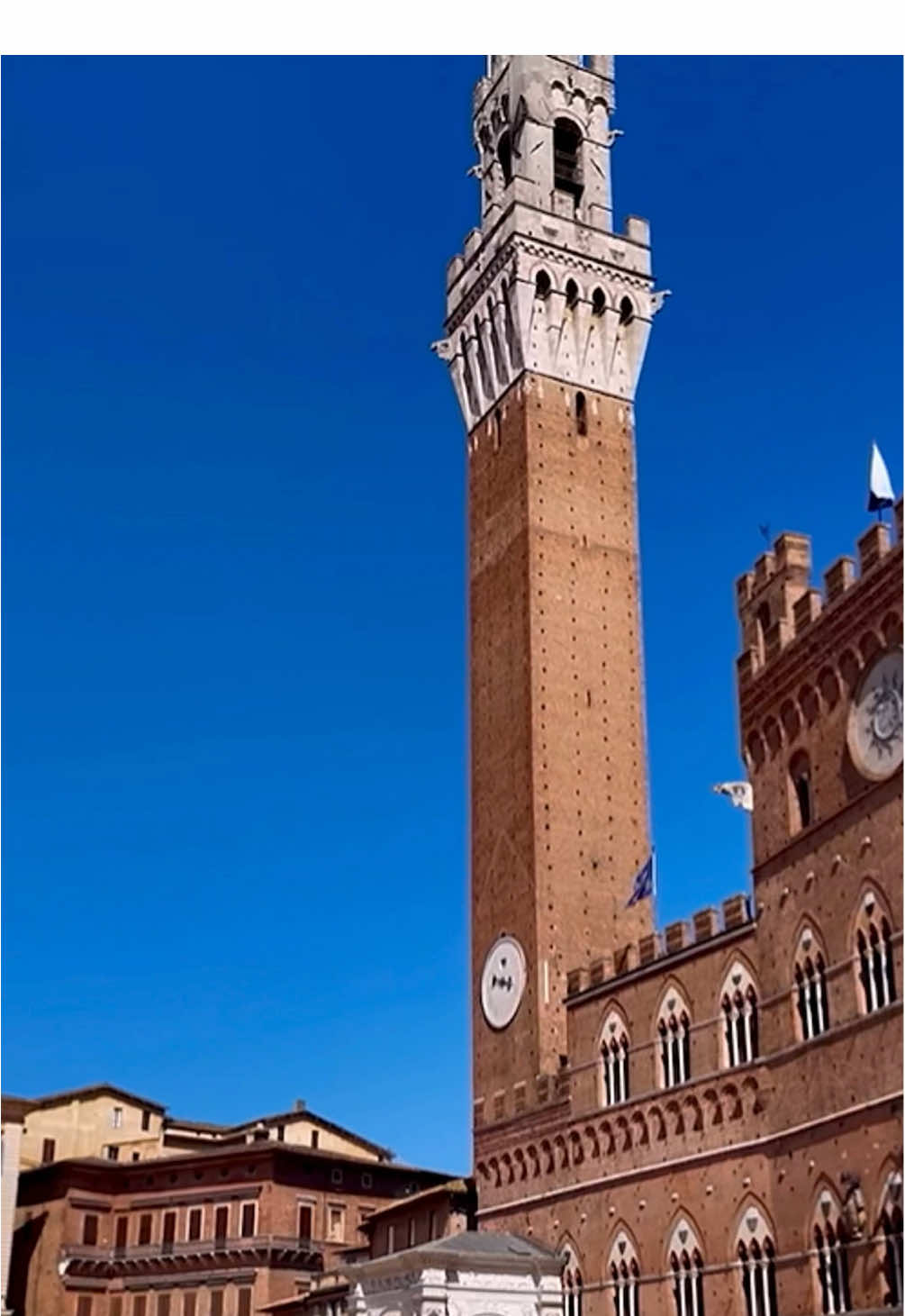 Palazzo Pubblico in Siena 🇮🇹 #italy #siena #tuscany #reels #shorts 