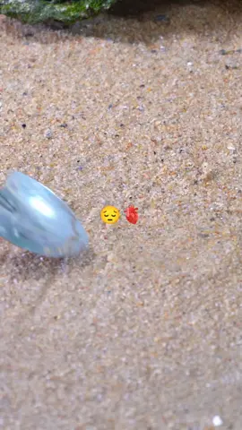 #galaubrutal🥀 #quotes 