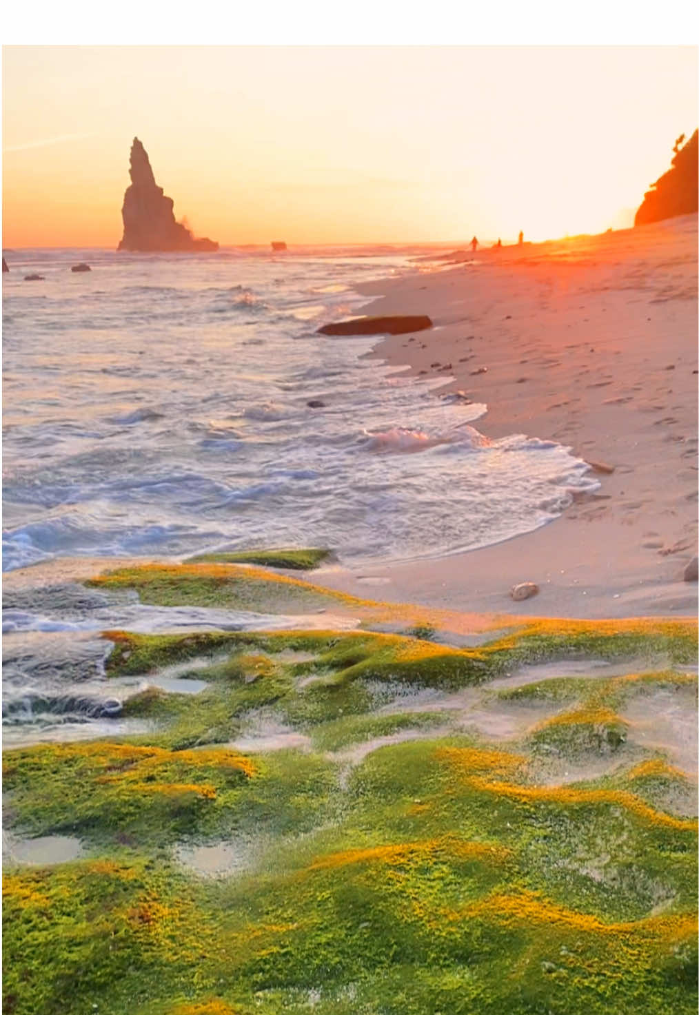 #pantaibuyutan #buyutanvillage #pacitan24jam #pacitanwonderful #wonderful 