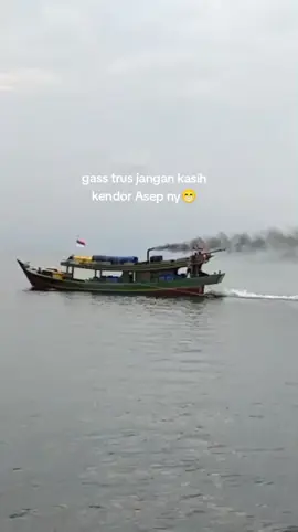 cumi-cumi darat❎ cumi-cumi laut✅