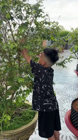 Mô phật ông Địa độ con @Huỳnh Minh Nhớ 