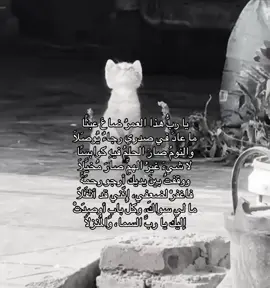 #fyp #foryou #fyppppppppppppppppppppppp 